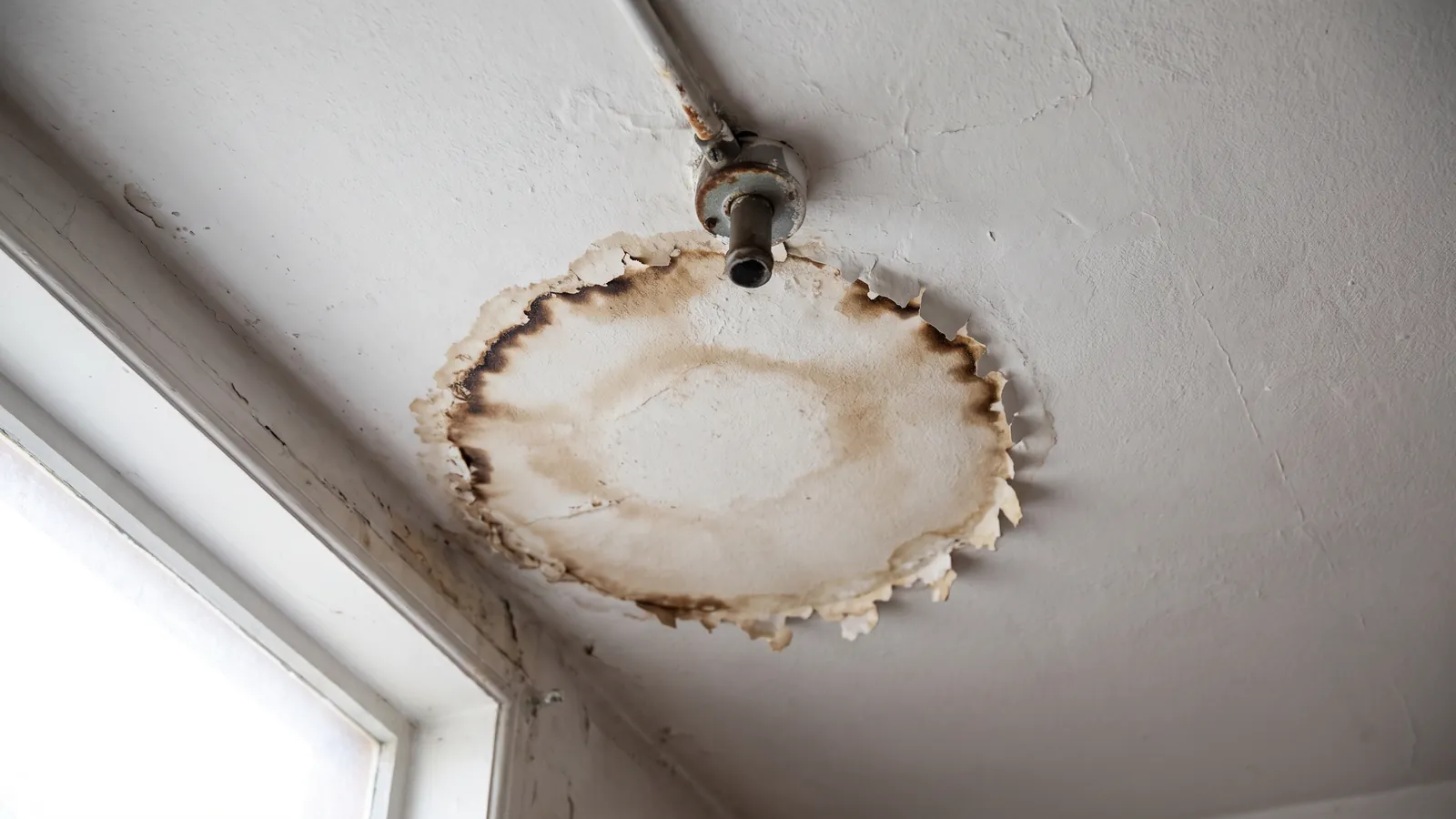 Brown water staining spreading across a white interior ceiling below a roof penetration, paint blistered along the edge of the stain