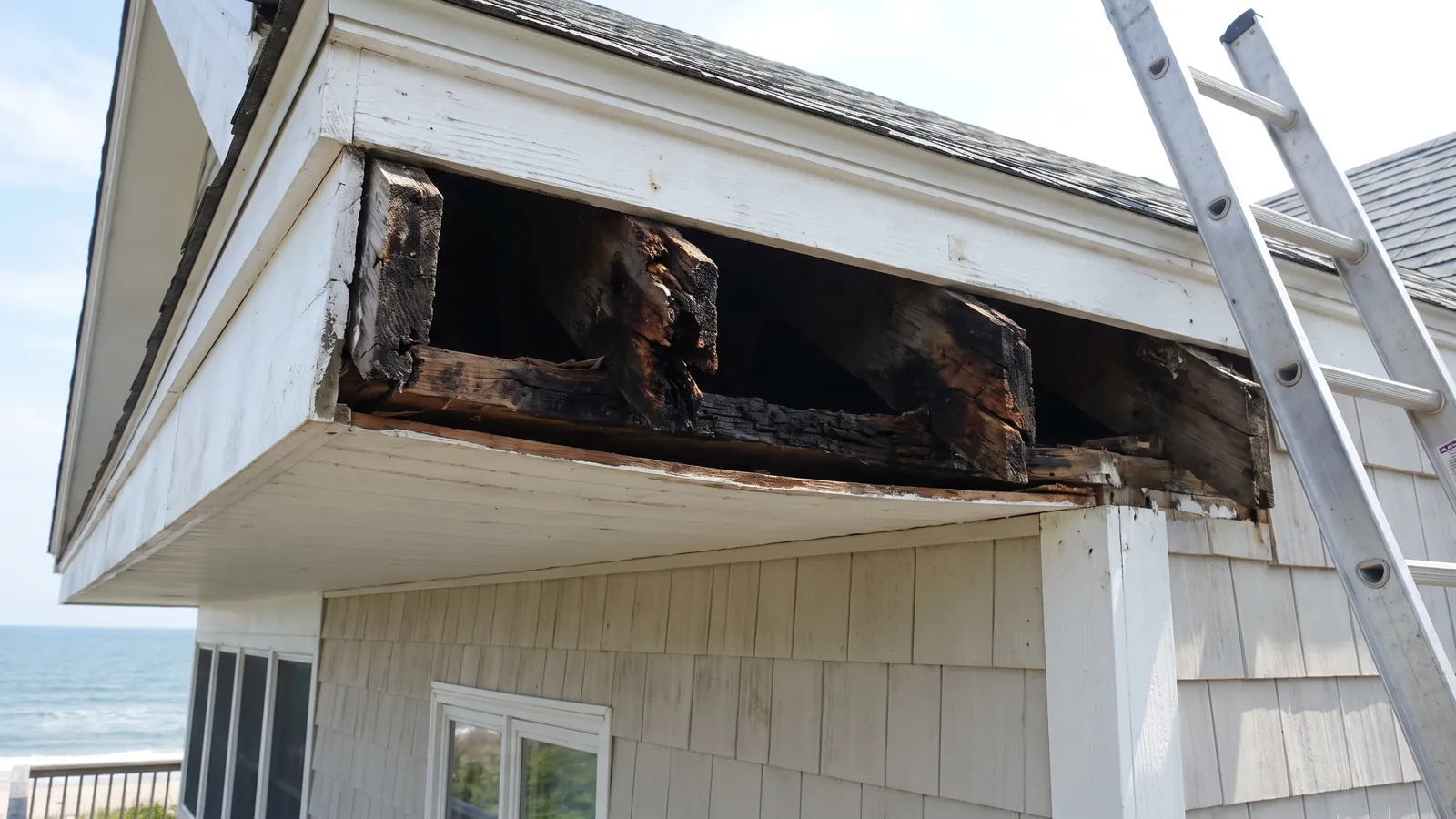 A section of soffit and fascia board removed from the eaves of a coastal home revealing rot in the rafter tails from wind-driven rain